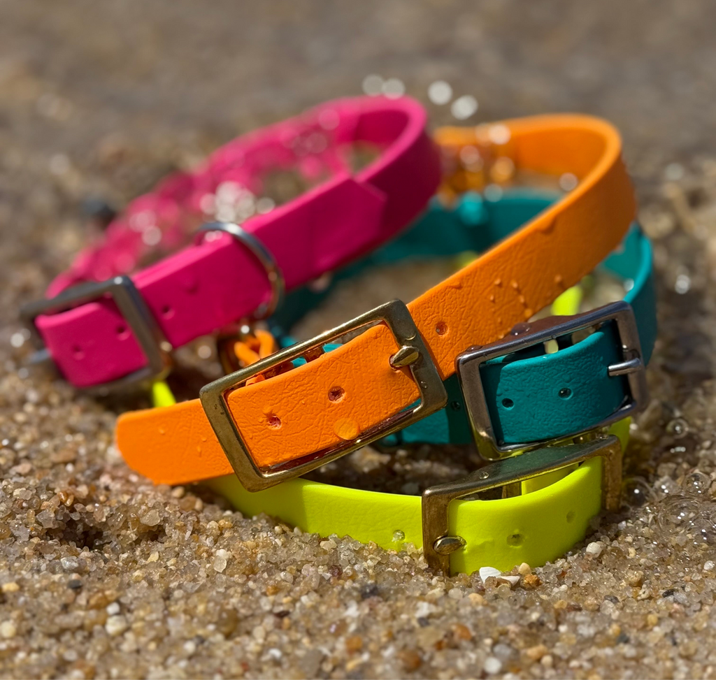BioThane® Halsband